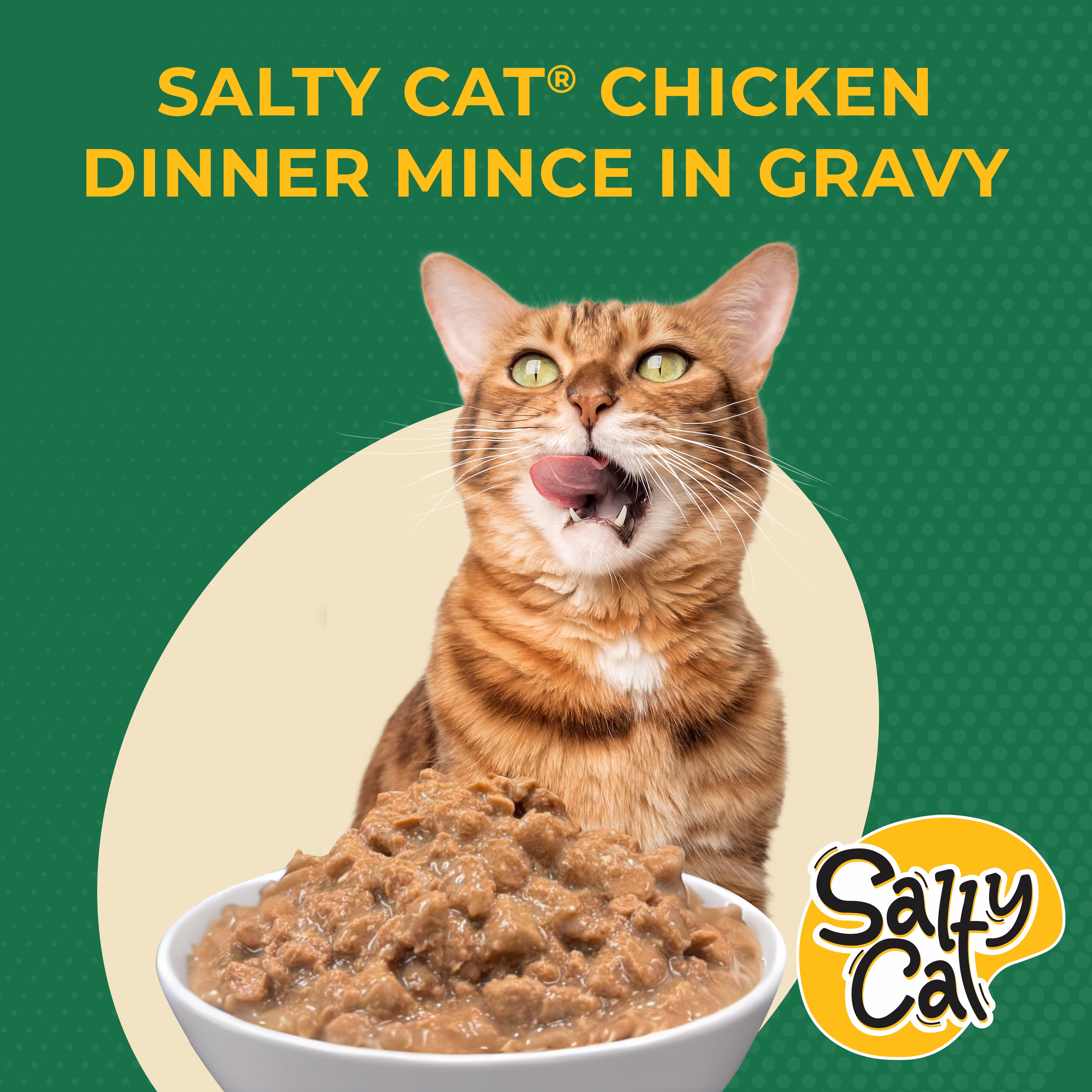 (6 pack) Salty Cat Chicken Dinner Mince in Gravy Wet Cat Food, 13 oz. Can