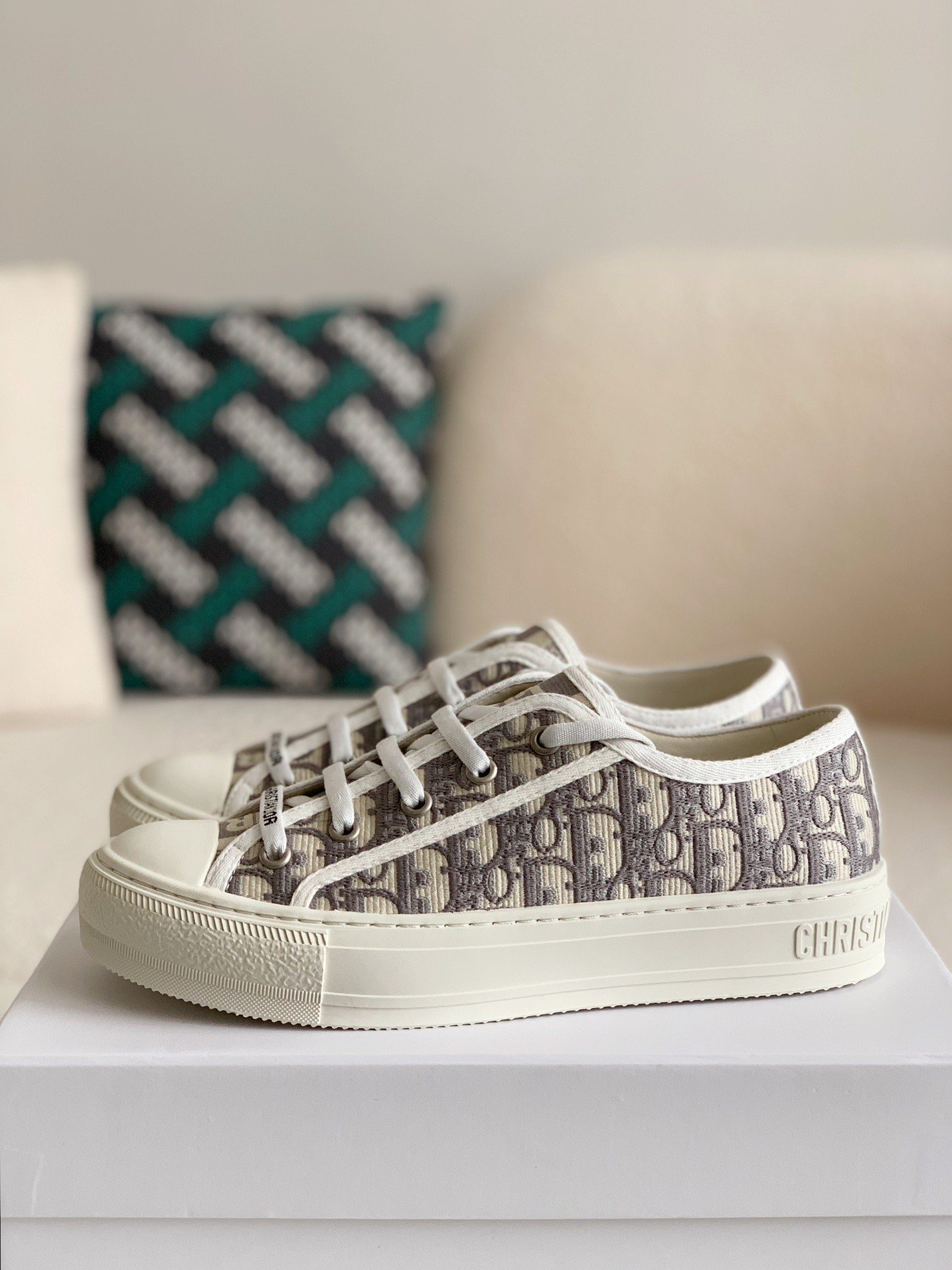 Dior B23 low Sneaker Shoes