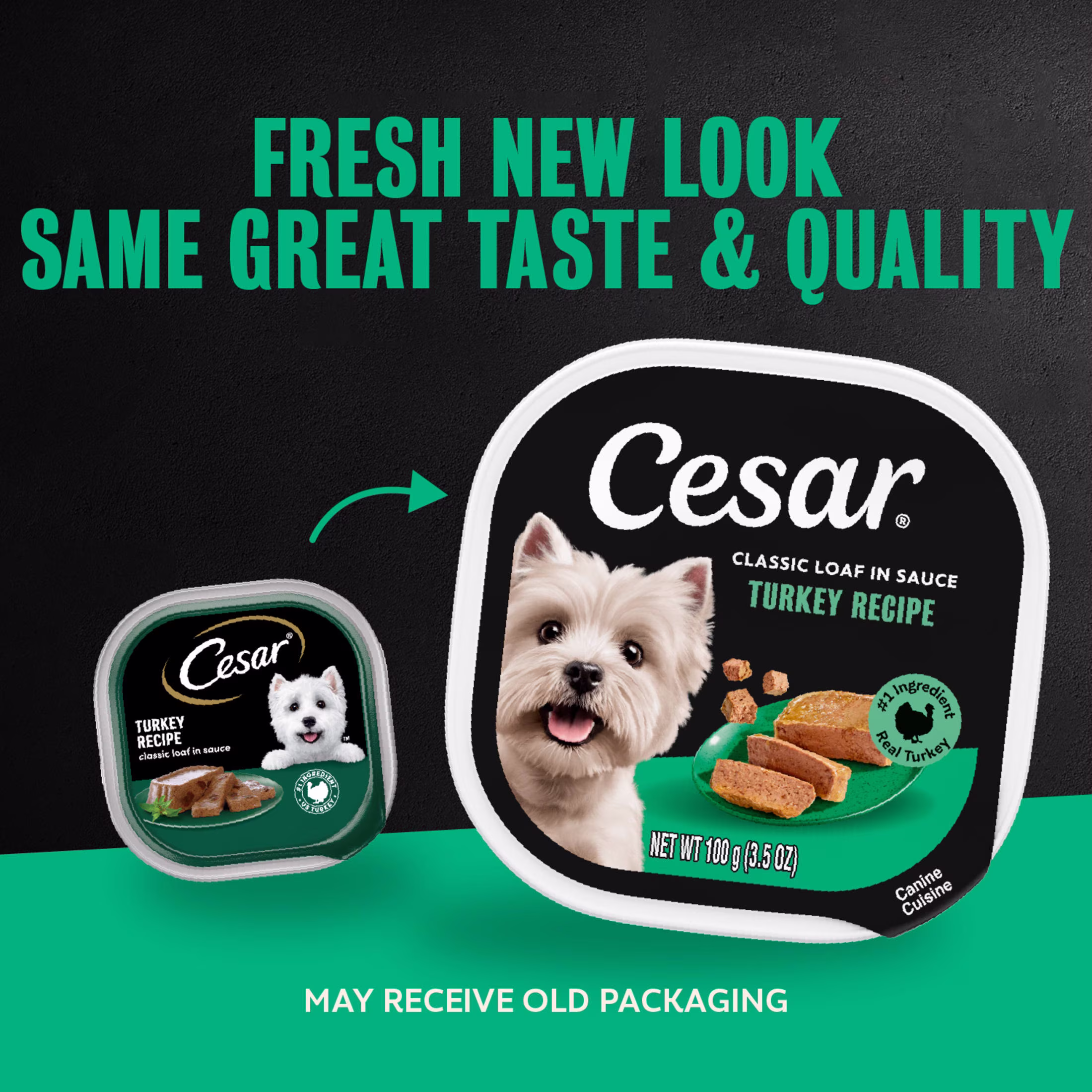 Cesar Classic Loaf in Sauce Wet Dog Food Turkey Flavor, 3.5 oz. Easy Peel Tray