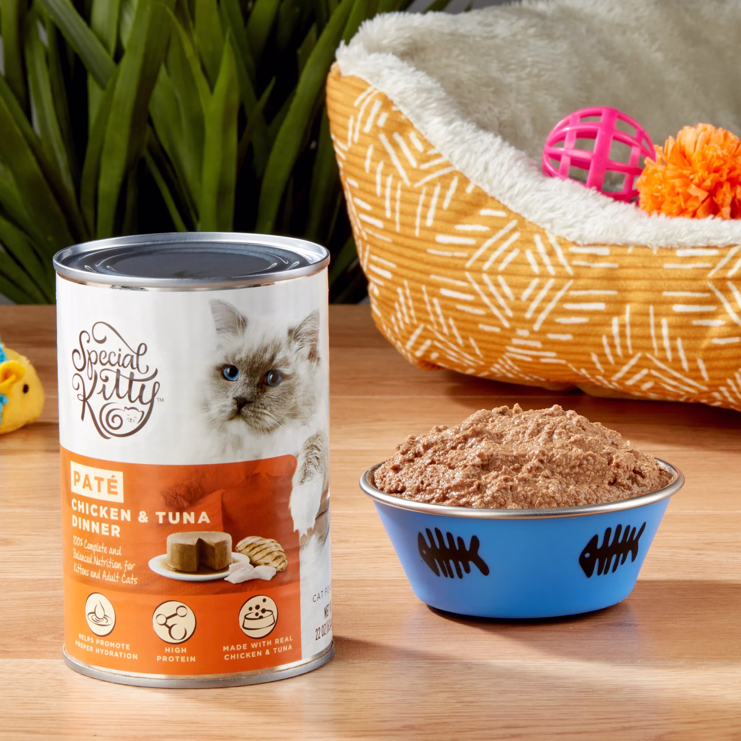 Special Kitty Chicken & Tuna Dinner Pate Wet Cat Food, 22 oz Can