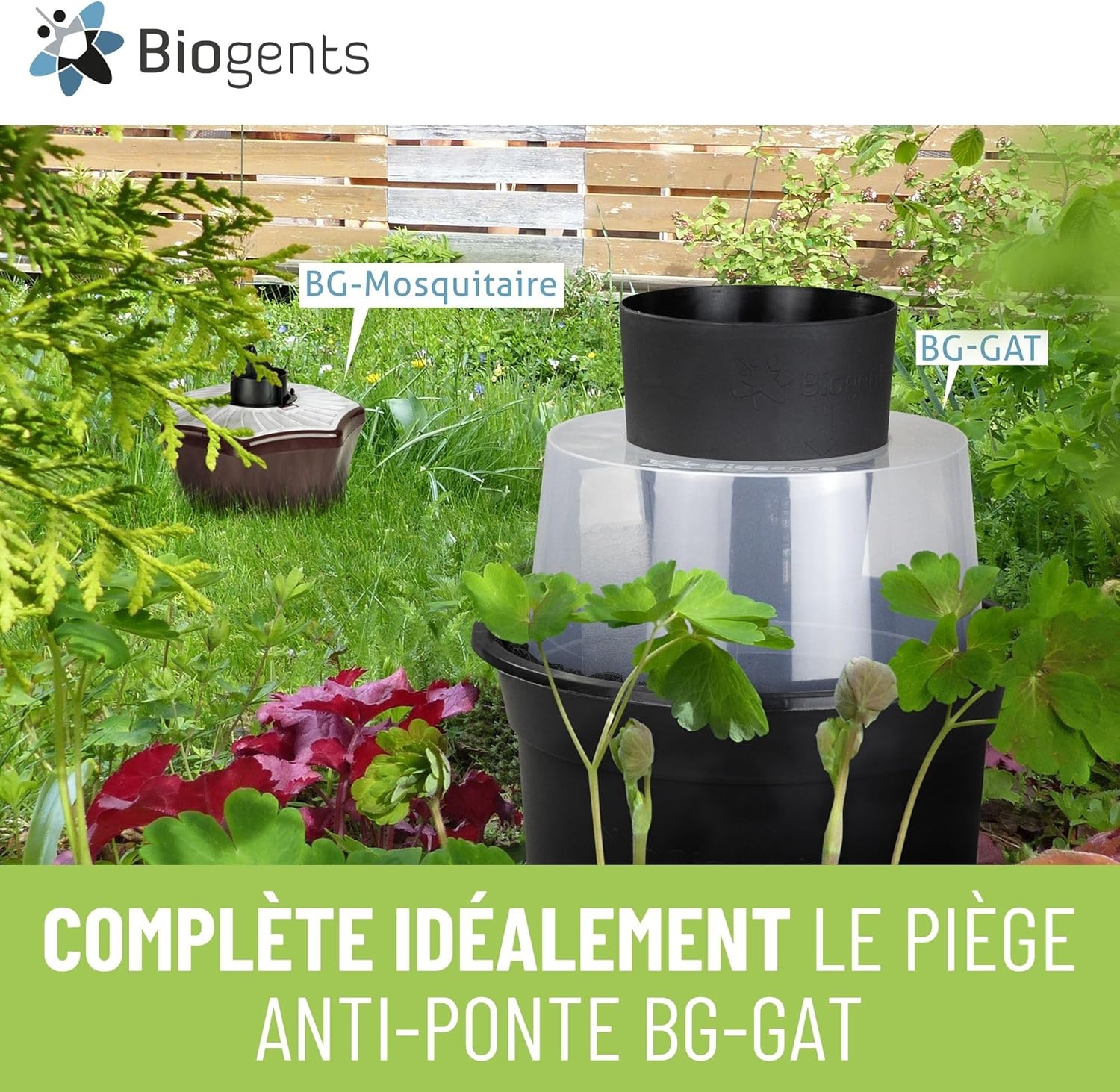 Piège extérieur anti moustiques avec recharge 6 mois