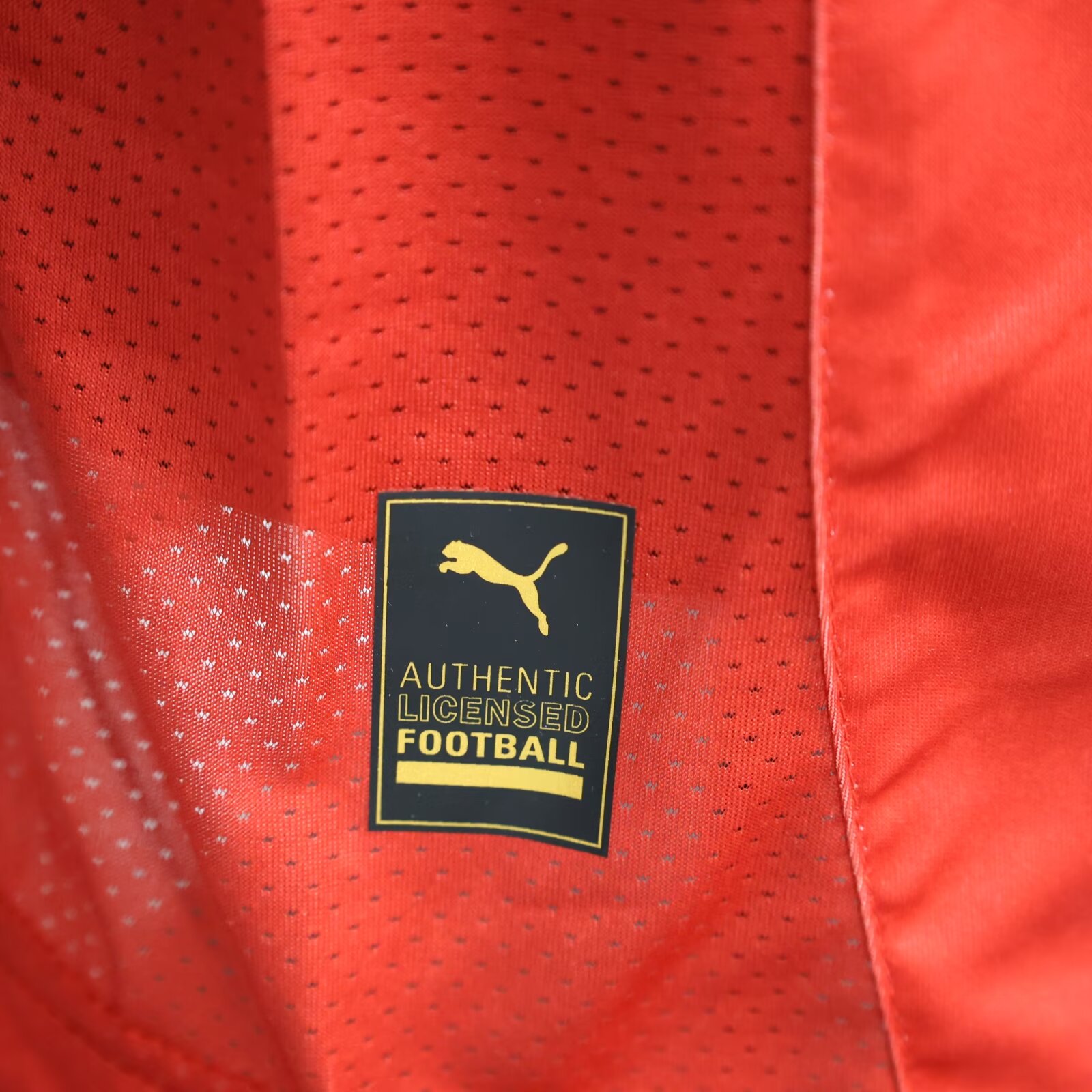 2024/25 Chivas Home Player Jersey 1:1 Thai Quality