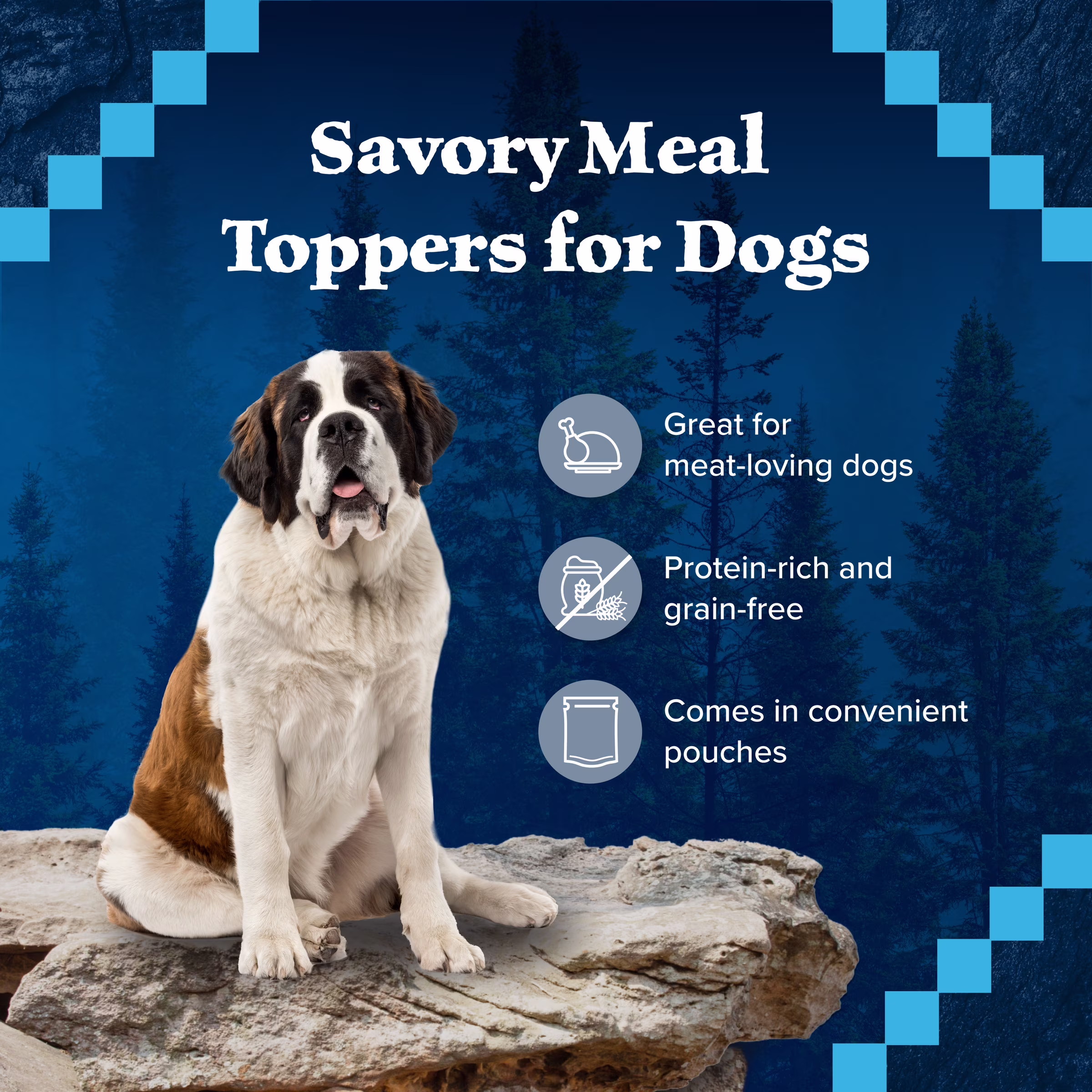 (12 pack) BLUE Wilderness Trail Toppers Dog Wet Food, Chicken Bites in Gravy, 3-oz Pouch