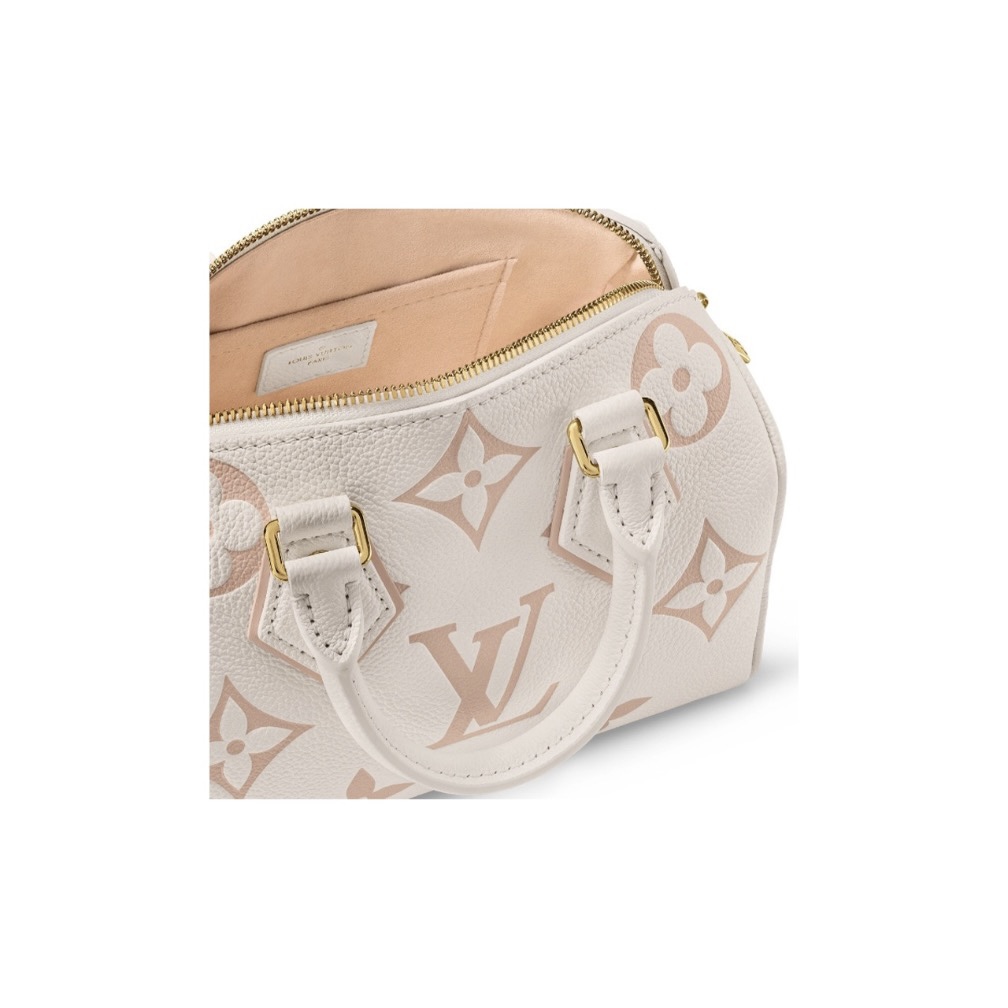 Louis Vuitton Speedy 20