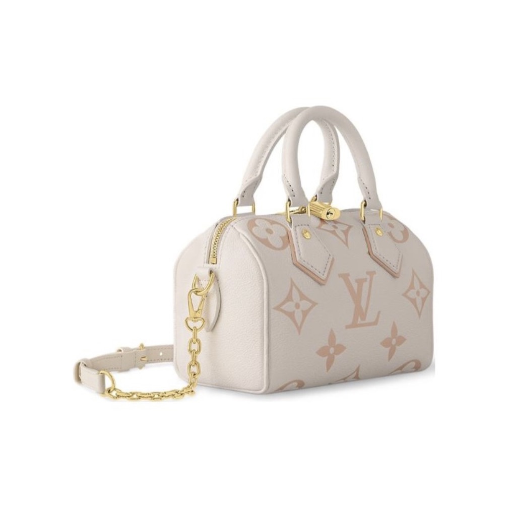 Louis Vuitton Speedy 20