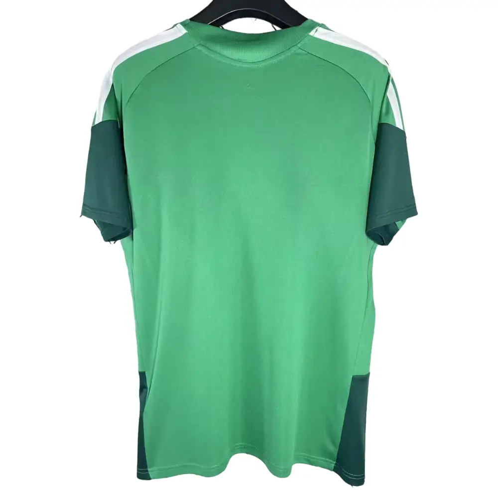 2026 World Cup Algeria Training Jersey - Fans Edition