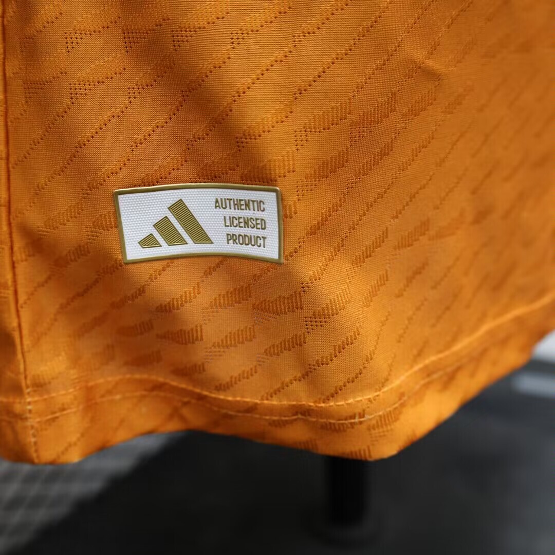 2024/25 Japan Special Edition Shirt - Player Edition