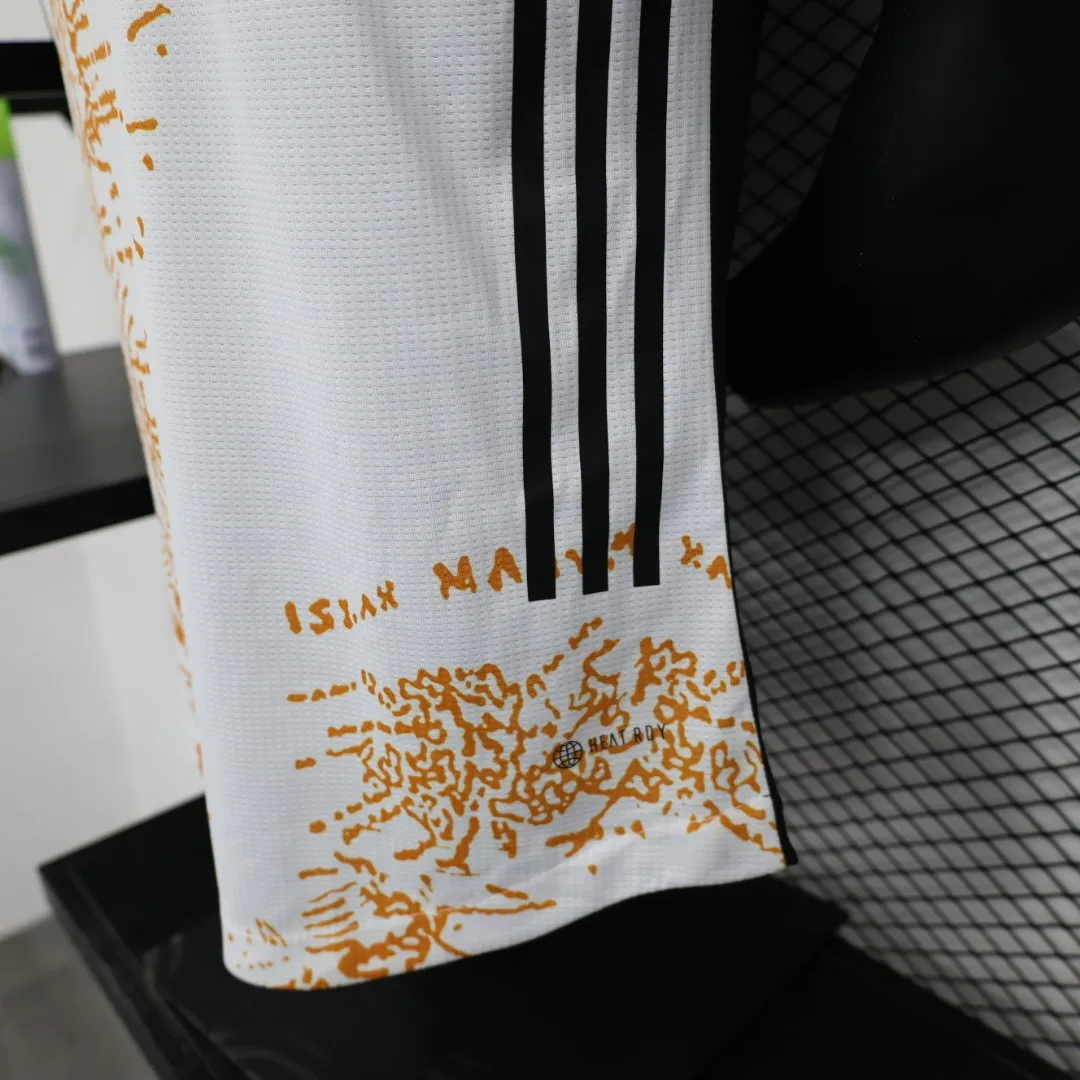 2023-2024 Argentina Special Player Jersey 1:1 Thai Quality