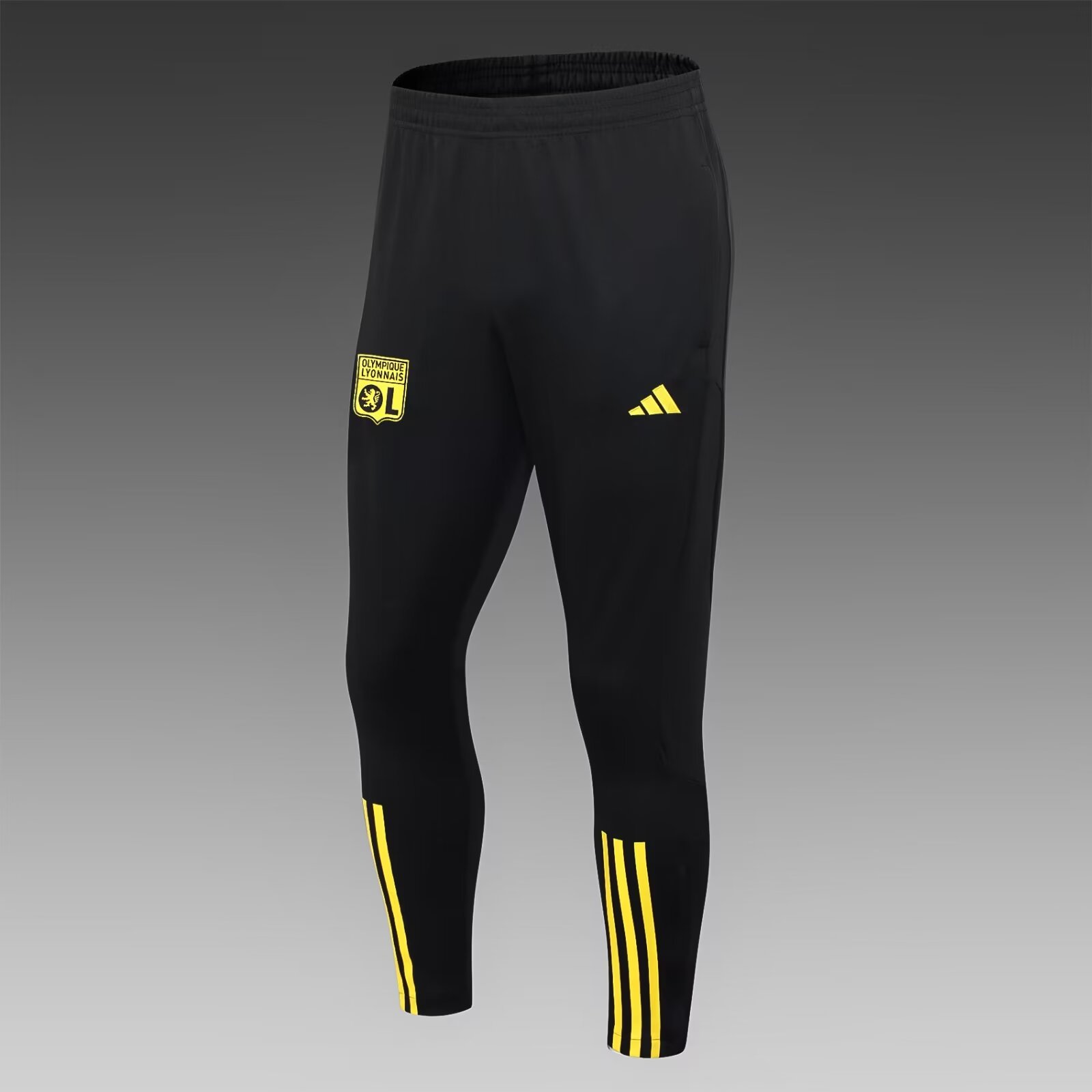 2023/2024 Lyon Half-La Training Wear Black Football Shirt Set