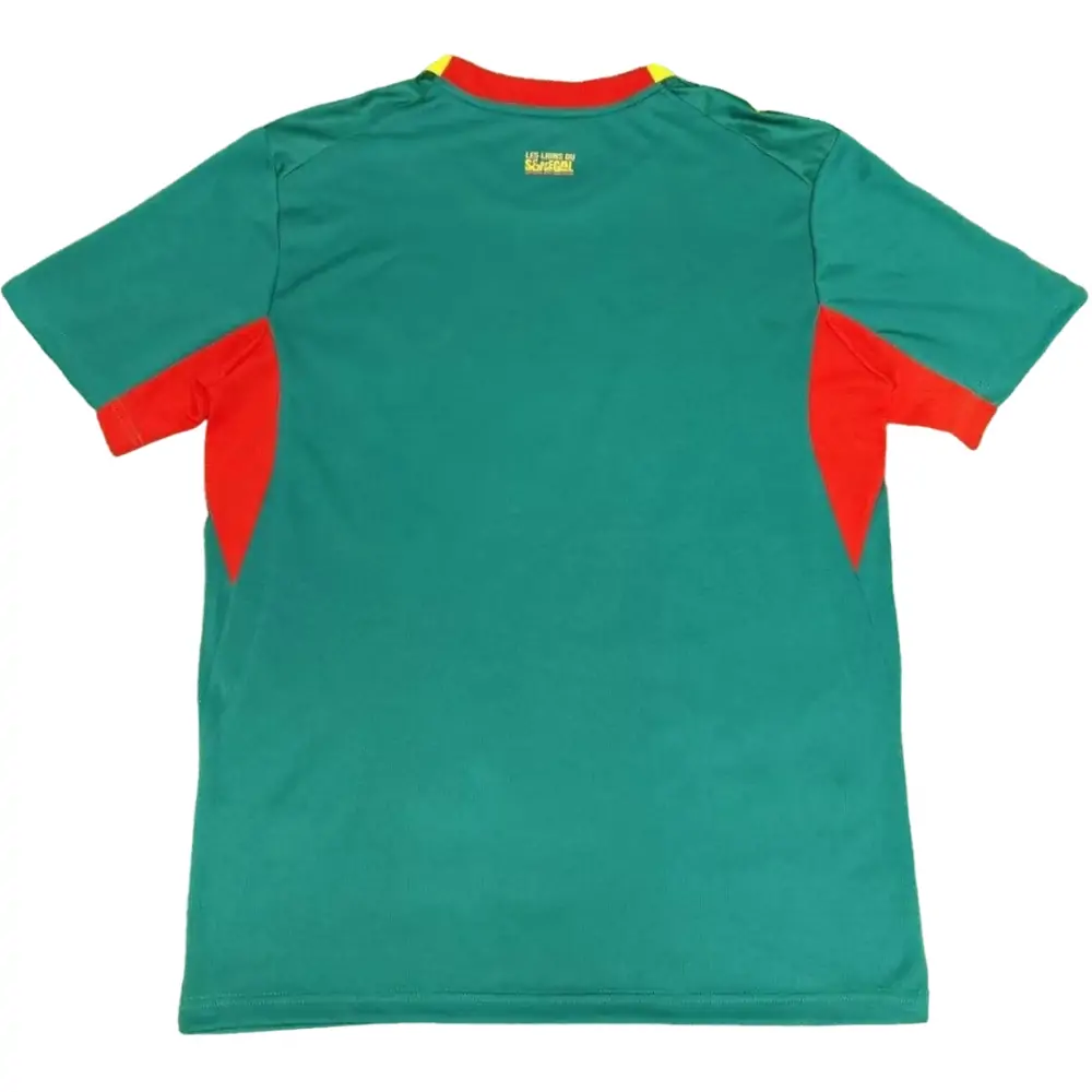 Senegal national football team