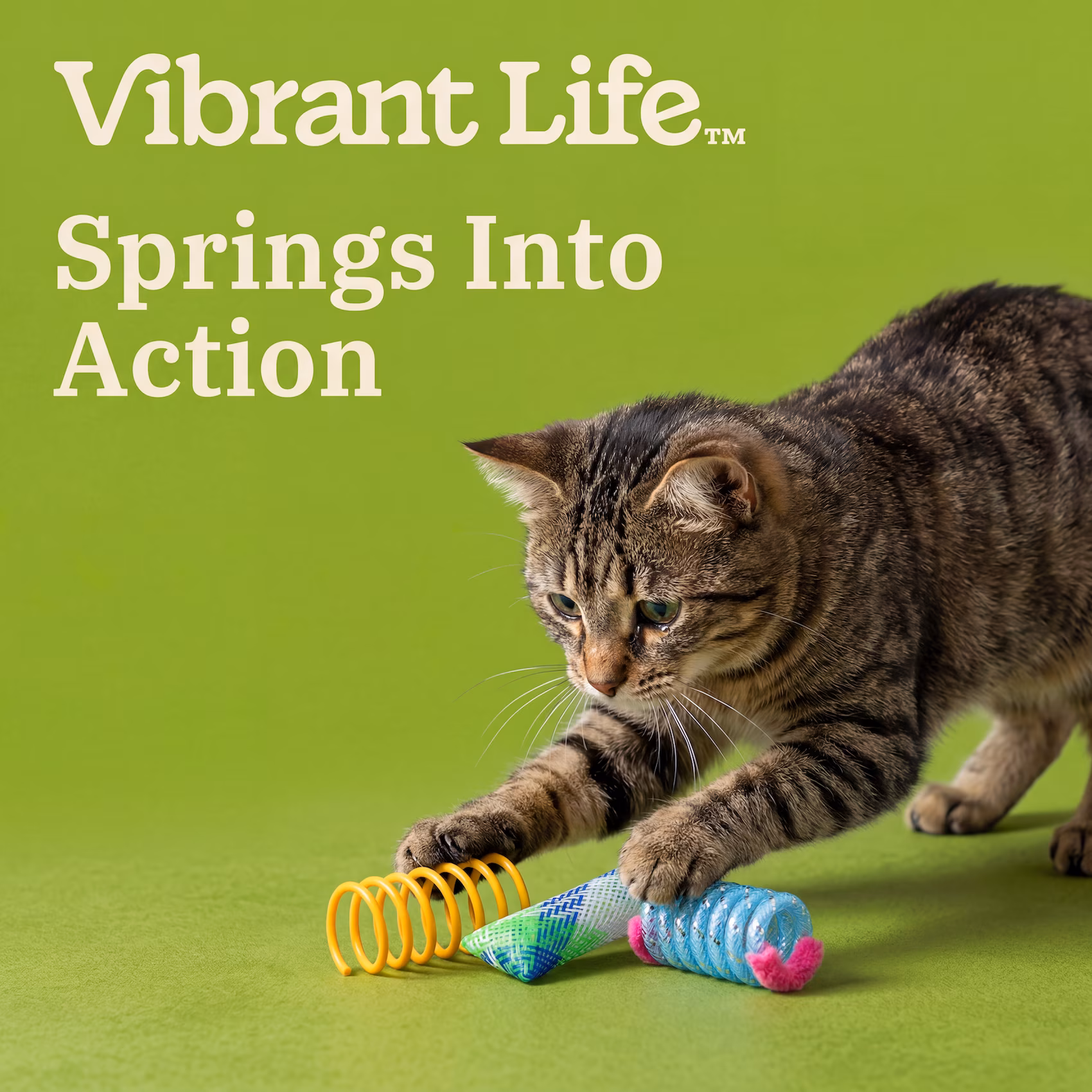 Vibrant Life Rolling Springs Cat Toys, 3 Pack