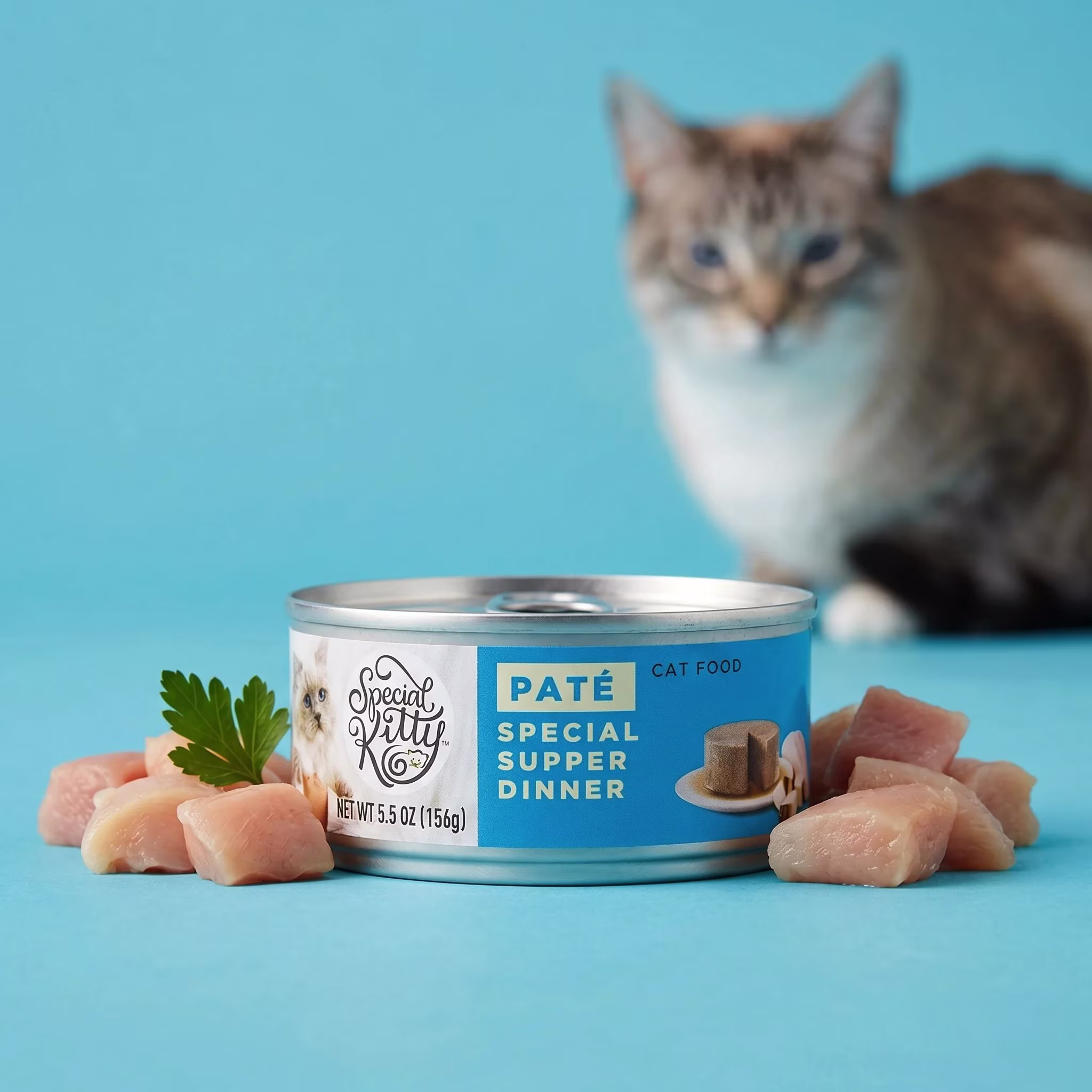 Special Kitty Special Supper Dinner Pate Wet Cat Food, 5.5 oz Can
