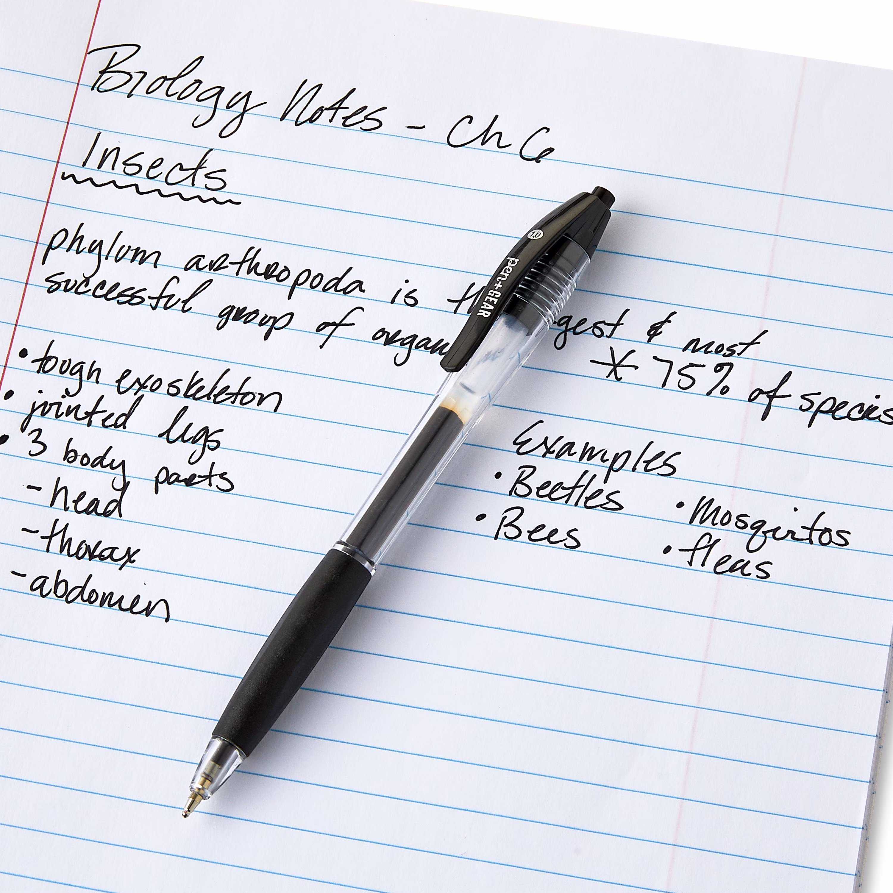 Pen+Gear Retractable Ballpoint Pens, Medium Point,1.0mm, Black Ink, 8 Count