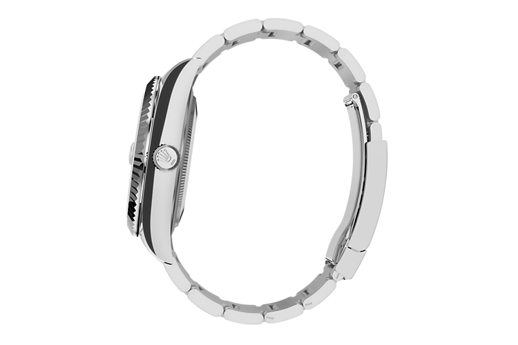 Rolex SKY-DWELLER