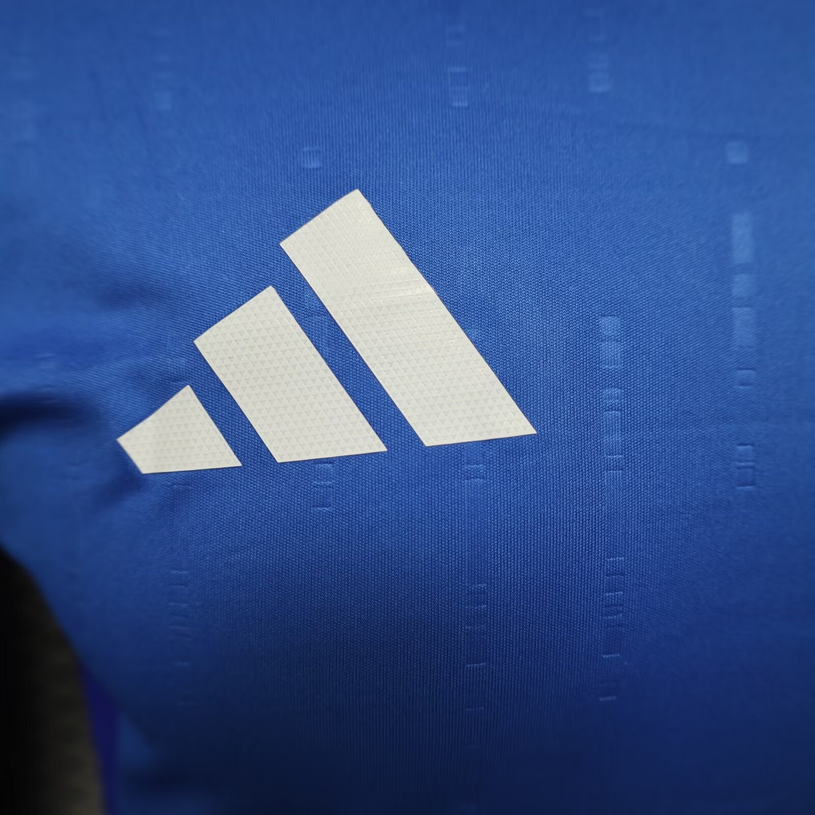 2024/25 Italy Home Player Version Long Sleeve Jersey 1:1 Thailand Quality