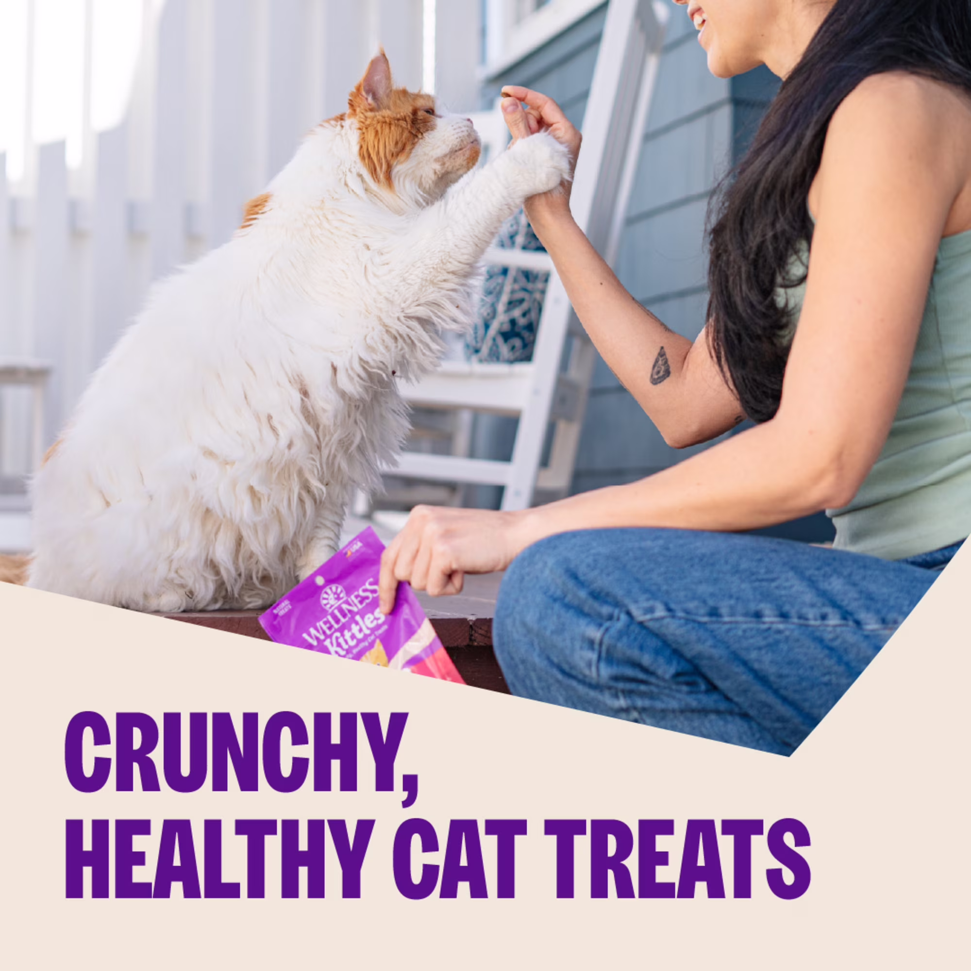 Wellness Kittles Crunchy Cat Treats, All Lifestages, Kitten to Senior, Natural, Grain Free, Chicken and Cranberry Flavor, 2 oz Bag