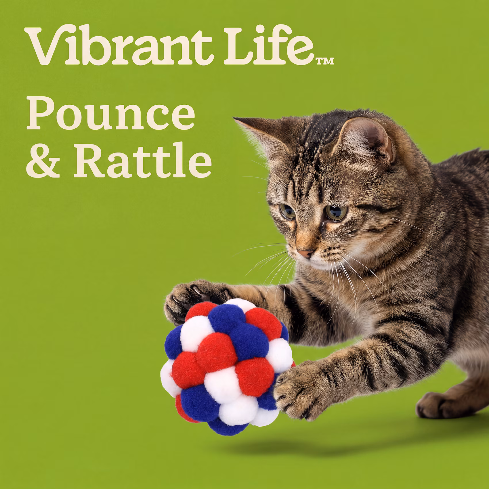Vibrant Life Red/White/Blue Pom Pom Cat Toy