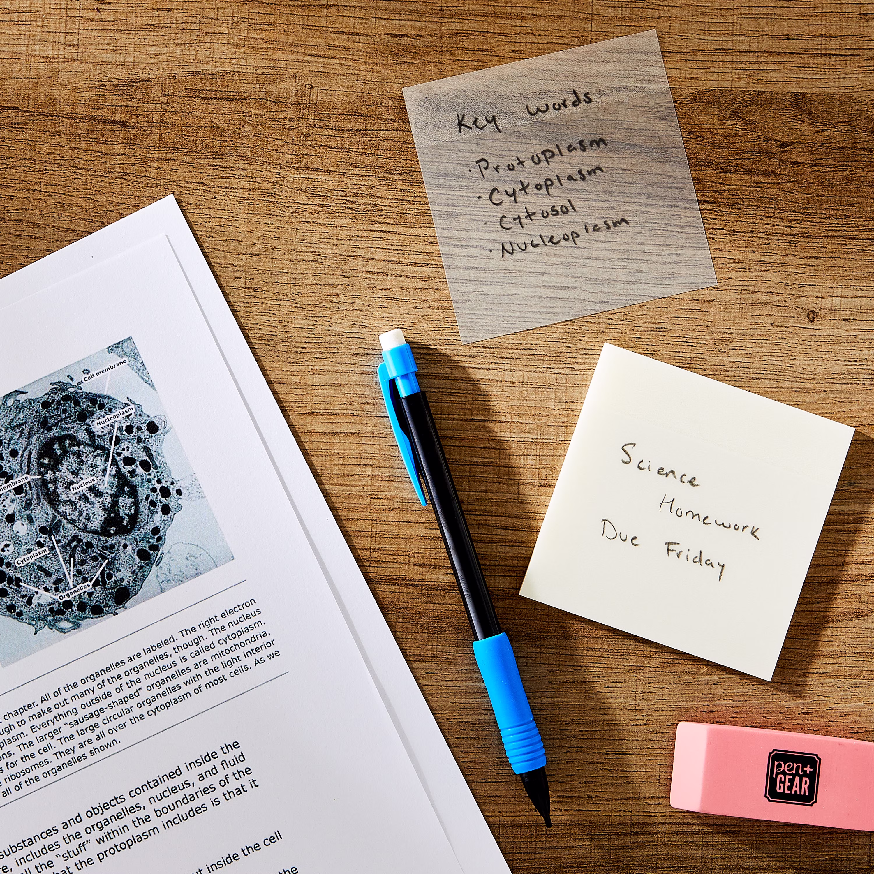 Pen+Gear Semi-Transparent Sticky Notes 3x3 Inch, 50 Sheets Per Pad