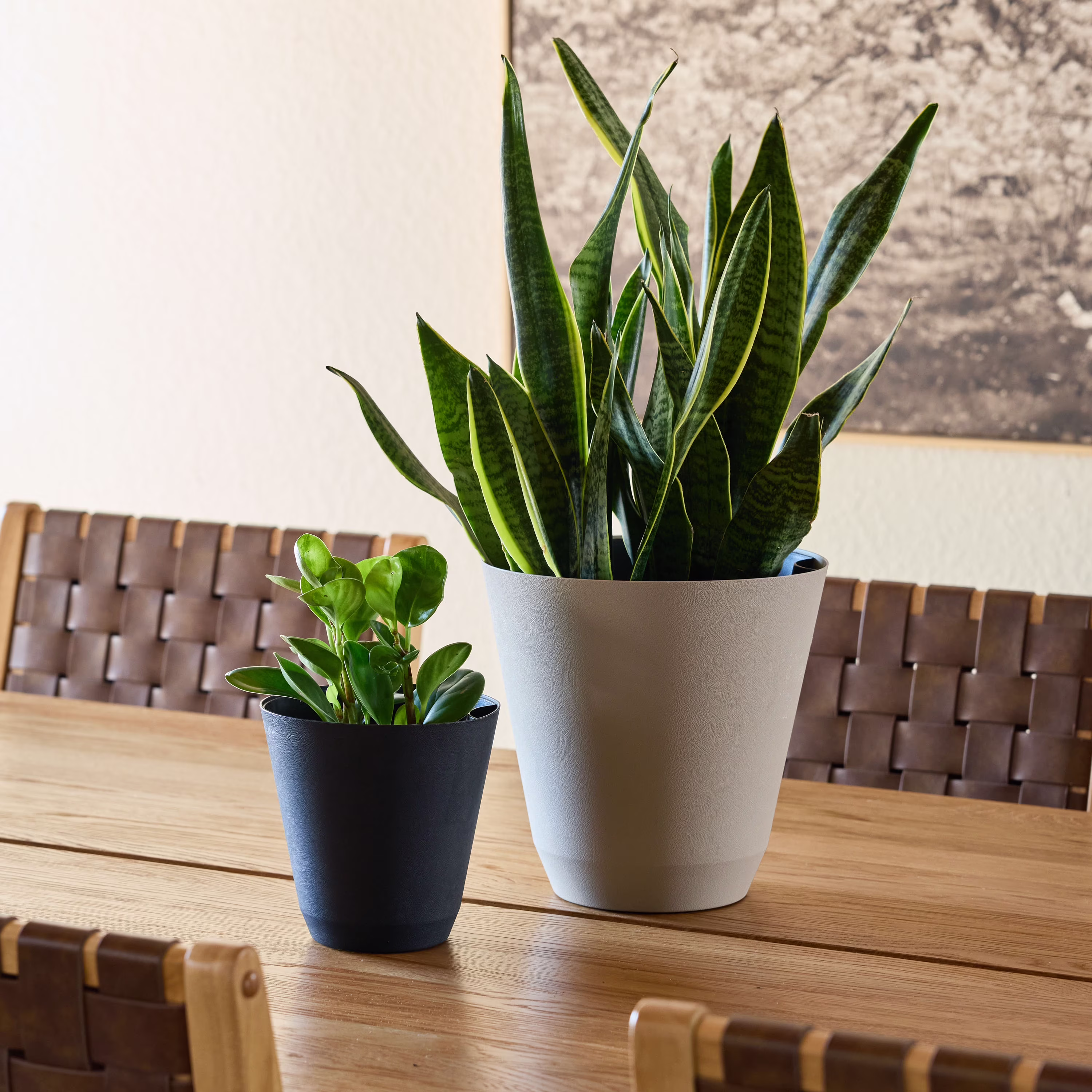 Mainstays 11 in. Beige Resin Self-Watering Planter