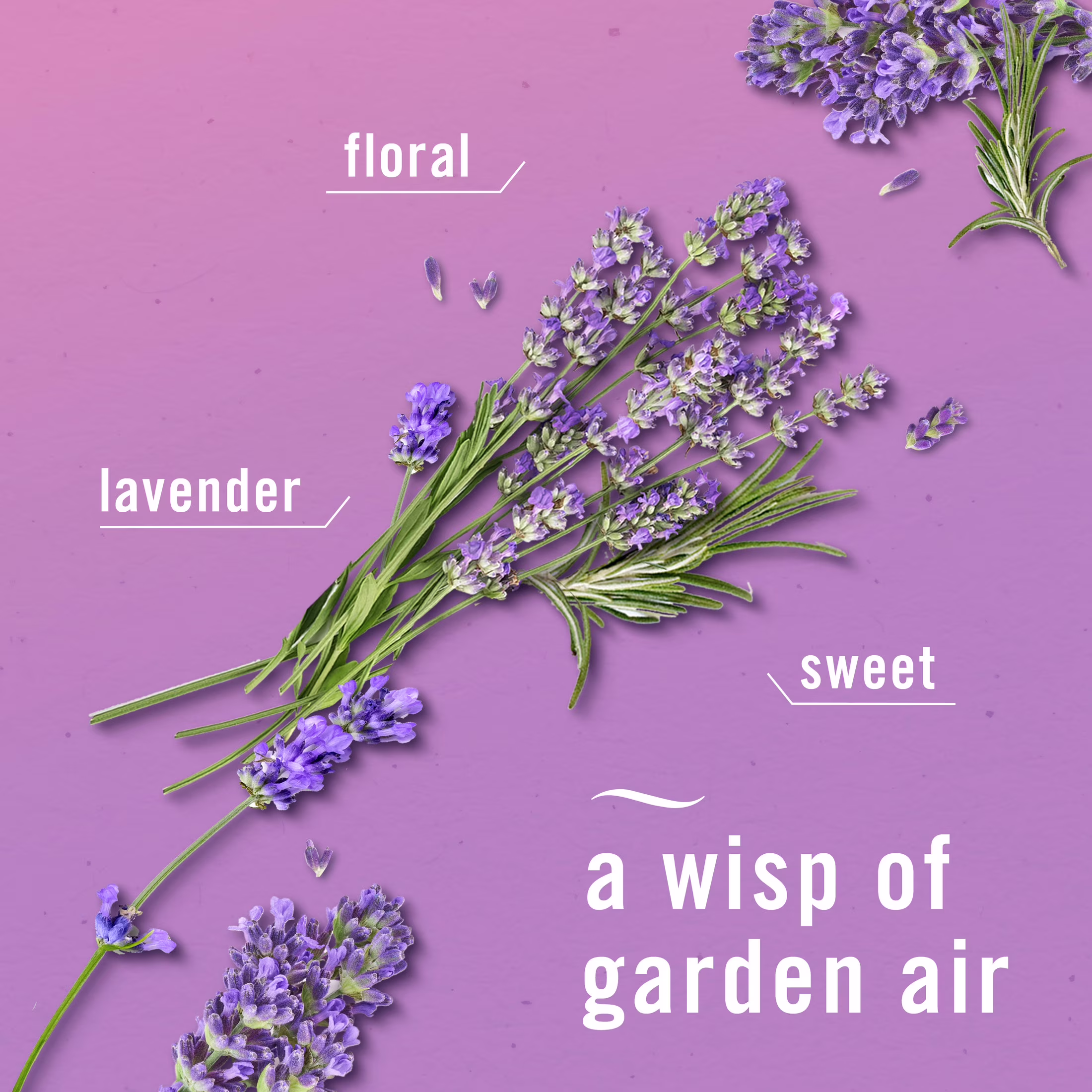 Febreze Air Mist Air Freshener Spray, Twilight Lavender Scent, 8.1oz