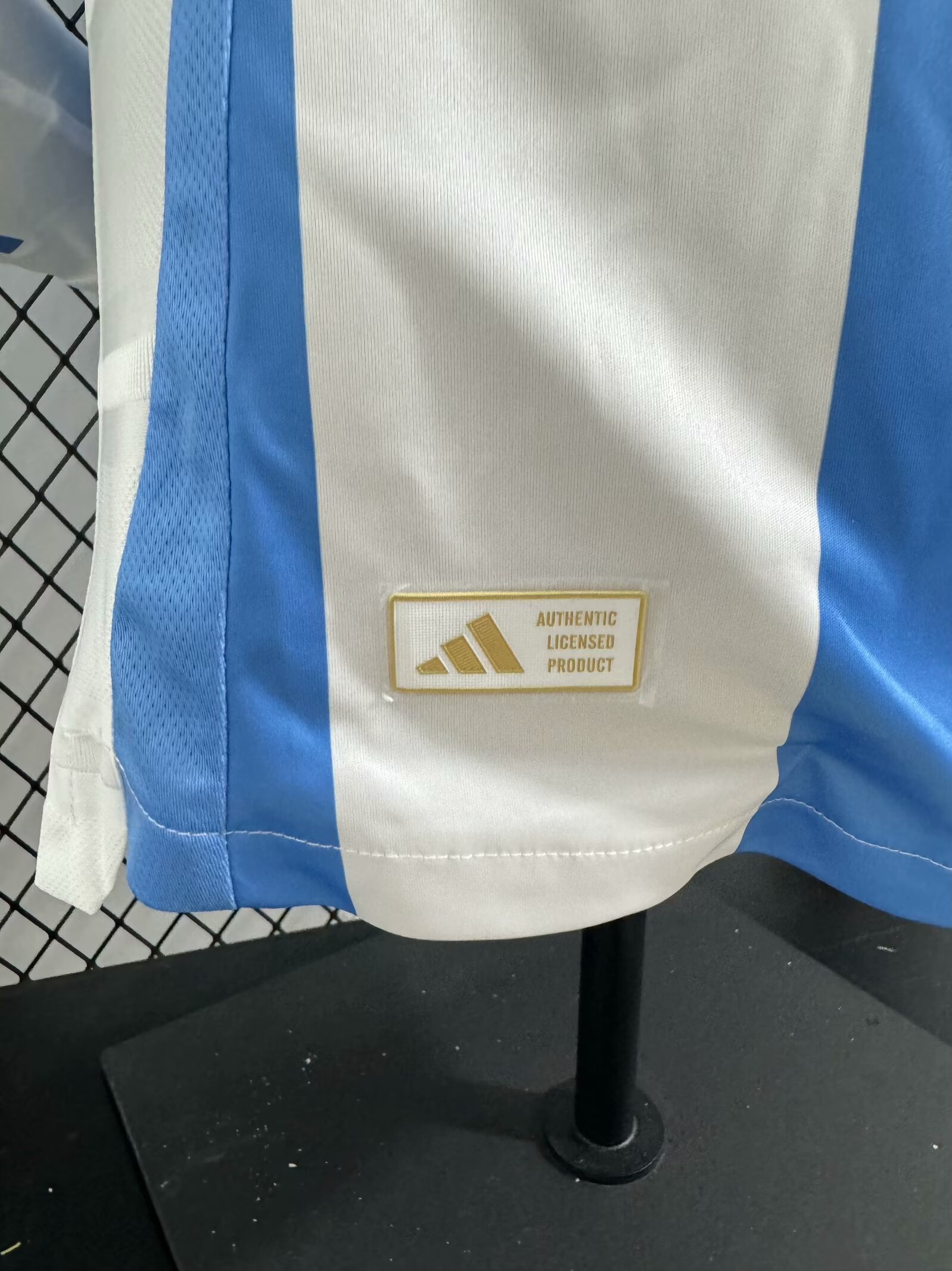 2024/25 Argentina Home Long Sleeve Shirt - Player Version